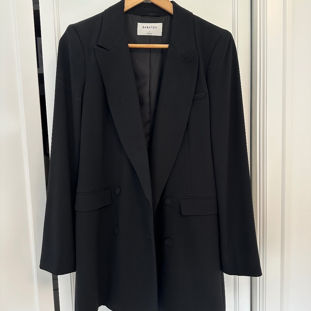 Aritzia Babaton Blazer